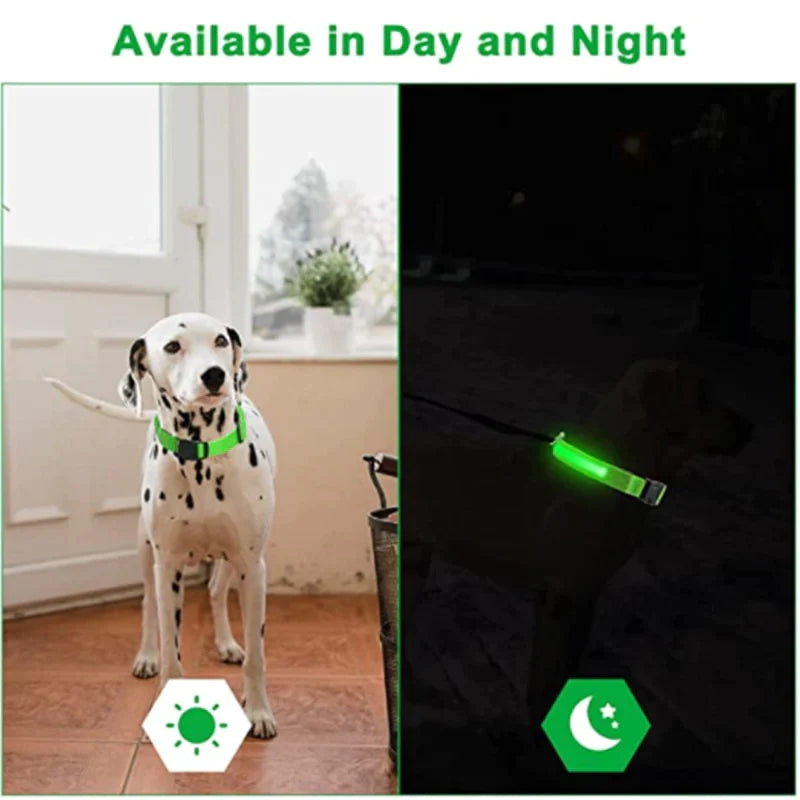 Coleira  LED - pets