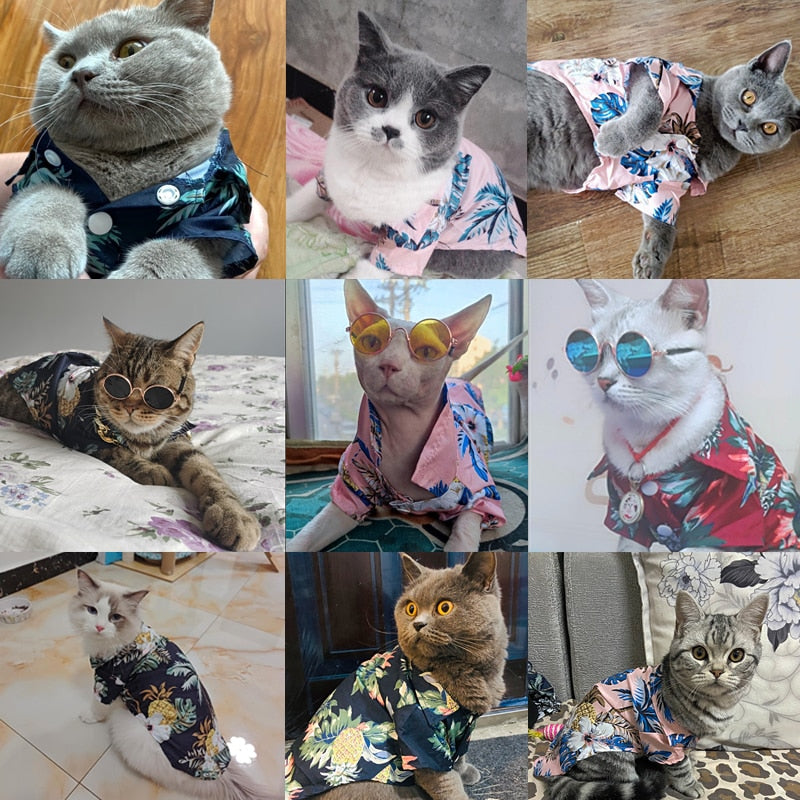 Camisa Verão para pets